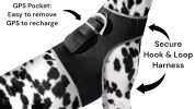 Get Realtime Location Update w/ Pet Tracker GPS Tracking Collars for Dogs Size:M