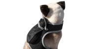 Get Realtime Location Update w/ Pet Tracker GPS Tracking Collars for Dogs Size:M