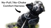Get Realtime Location Update w/ Pet Tracker GPS Tracking Collars for Dogs Size:M