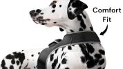 Get Realtime Location Update w/ Pet Tracker GPS Tracking Collars for Dogs Size:M