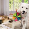 Wedge Ball Dog Toy