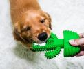 Cactus Shape Dog Toothbrush Stick Puppy Dental Care Brushing Stick Effective Doggy Teeth Cleaning Massager Natural Rubber Bite Resistant Chew Toy