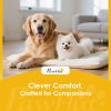 Elevated Dog Bowls with Storage, Raised Dog Bowl Stand with 2 Stainless Steel Bowl for Large Dogs, Gray