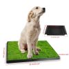 25"Ã—20" Dog Toilet Indoor Puppy Training Pad, Dog Potty Pet Training Grass Mat, Removable Waste Tray for Easier Clean Up, Artificial Turf