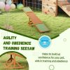 Wooden Dog Agility Seesaw for Training and Exercise, Weather Resistant, 83" L x 16" W x 14" H, Orange