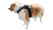 Get Realtime Location Update w/ Pet Tracker GPS Tracking Collars for Dogs Size:M