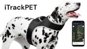 Get Realtime Location Update w/ Pet Tracker GPS Tracking Collars for Dogs Size:M