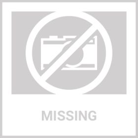 2 In 1 Wireless Electric Dog Fence Waterproof Pet Shock Boundary Containment System Electric Training Collar For Small Medium Large Dogs (Option: Black)