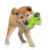 Dog Toy Molar Stick Leaking Food Dog Toothbrush
